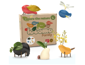 Sustainable toys